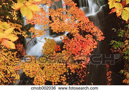 Sandan waterfall, Hokkaido View Large Photo Image Stock Photograph - Sandan waterfall, Hokkaido. Fotosearch