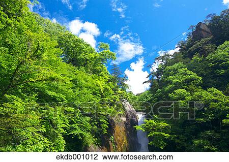 Stock Image - Senga waterfall, Yamanashi Prefecture. Fotosearch