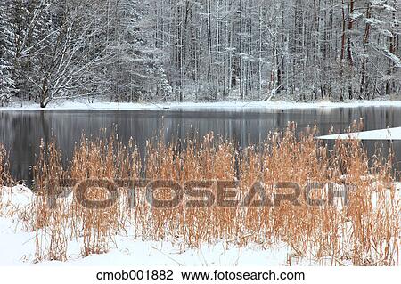 Stock Image - Snow at Mishakaike, Nagano Prefecture. Fotosearch