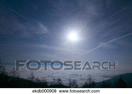Trees and blue sky with clouds, Nagano Prefecture View Large Photo Image Stock Photo - Trees and blue sky with clouds, Nagano Prefecture. Fotosearch