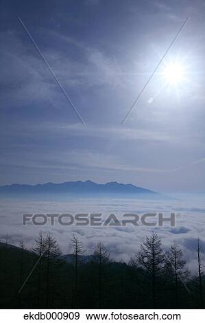 Trees and blue sky with clouds, Nagano Prefecture View Large Photo Image Stock Photo - Trees and blue sky with clouds, Nagano Prefecture. Fotosearch