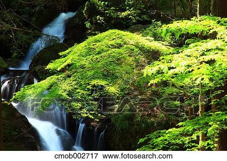 Uguisu waterfall, Tokushima Prefecture View Large Photo Image Stock Photo - Uguisu waterfall, Tokushima Prefecture. Fotosearch