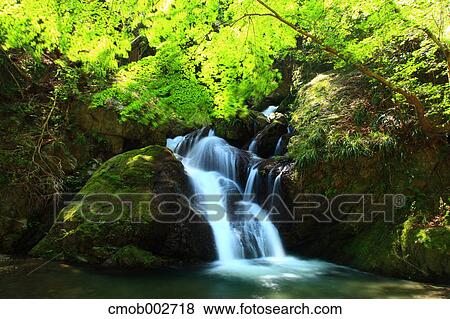 Stock Photo - Uguisu waterfall, Tokushima Prefecture. Fotosearch