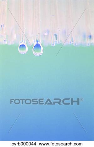 Picture - Water drops. Fotosearch