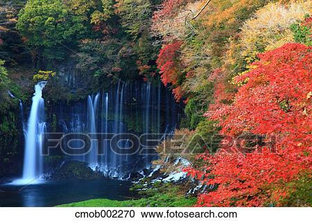 Waterfall in Fujinomiya, Shizuoka Prefecture View Large Photo Image Stock Image - Waterfall in Fujinomiya, Shizuoka Prefecture. Fotosearch