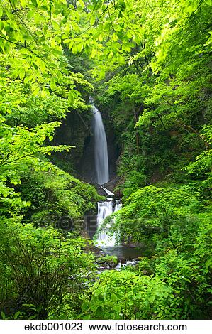 Waterfall in Itajiki valley, Yamanashi Prefecture View Large Photo Image Stock Image - Waterfall in Itajiki valley, Yamanashi Prefecture. Fotosearch