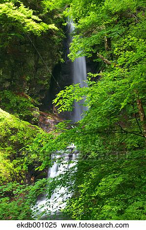 Stock Photography - Waterfall in Itajiki valley, Yamanashi Prefecture. Fotosearch