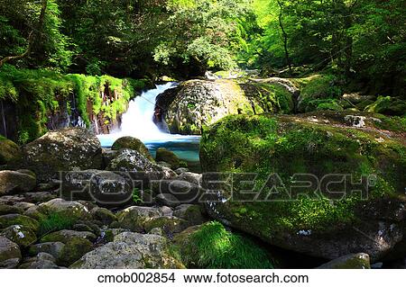 Picture - Waterfall in Kikuchi valley, Kumamoto Prefecture. Fotosearch