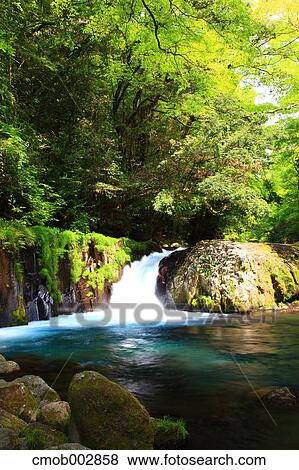 Waterfall in Kikuchi valley, Kumamoto Prefecture View Large Photo Image Stock Photo - Waterfall in Kikuchi valley, Kumamoto Prefecture. Fotosearch