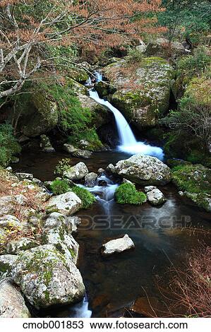 Waterfall in Ruri Valley, Kyoto Prefecture View Large Photo Image Stock Image - Waterfall in Ruri Valley, Kyoto Prefecture. Fotosearch