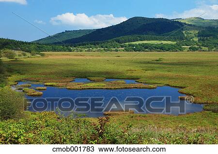 Yashimagahara Marsh in Shimosuwa, Nagano Prefecture View Large Photo Image Stock Image - Yashimagahara Marsh in Shimosuwa, Nagano Prefecture. Fotosearch