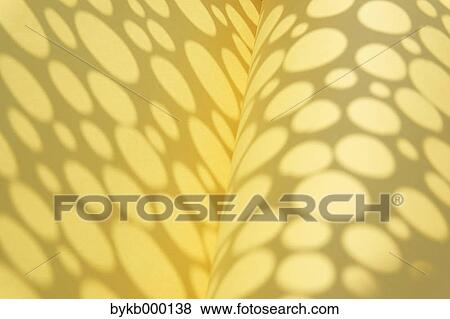 Stock Photo - Yellow polka dots. Fotosearch