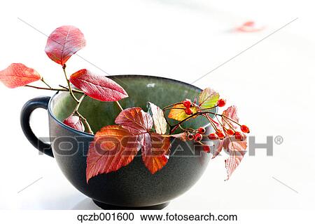 Stock Image - Berries and red leaves in a cup. Fotosearch
