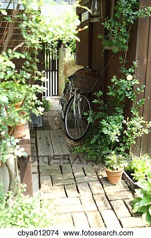 Bicycle in a garden View Large Photo Image Picture - Bicycle in a garden. Fotosearch
