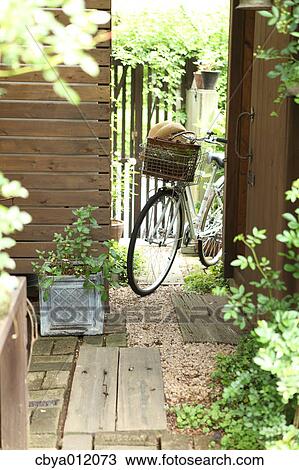 Bicycle in a garden View Large Photo Image Stock Image - Bicycle in a garden. Fotosearch