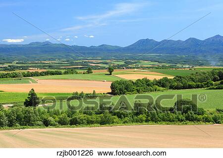 Biei countryside, Hokkaido View Large Photo Image Stock Photograph - Biei countryside, Hokkaido. Fotosearch