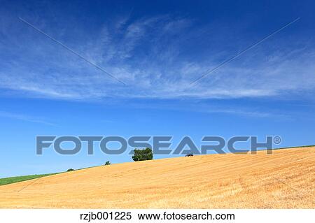 Biei countryside, Hokkaido View Large Photo Image Stock Photography - Biei countryside, Hokkaido. Fotosearch