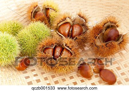 Chestnuts View Large Photo Image Stock Image - Chestnuts. Fotosearch
