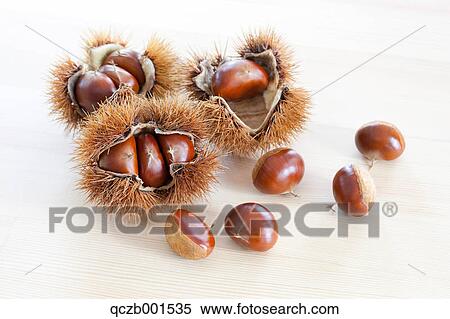 Chestnuts View Large Photo Image Stock Photography - Chestnuts. Fotosearch