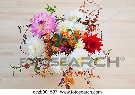 Dahlia and Bittersweet flowers in a vase View Large Photo Image Stock Photo - Dahlia and Bittersweet flowers in a vase. Fotosearch