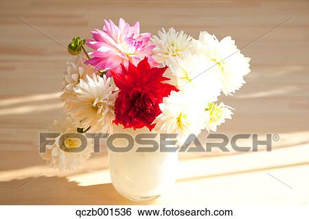Dahlia flowers in a vase View Large Photo Image Stock Photograph - Dahlia flowers in a vase. Fotosearch