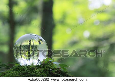 Glass globe View Large Photo Image Stock Image - Glass globe. Fotosearch