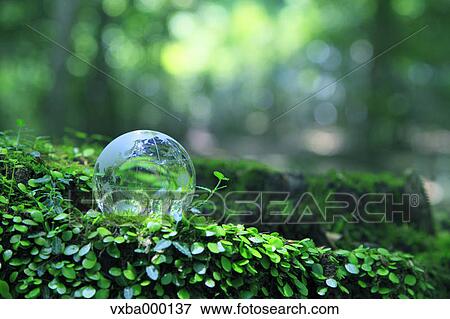 Glass globe View Large Photo Image Stock Photo - Glass globe. Fotosearch