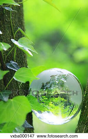 Glass globe View Large Photo Image Stock Photo - Glass globe. Fotosearch