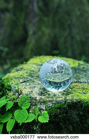 Glass globe View Large Photo Image Stock Photo - Glass globe. Fotosearch
