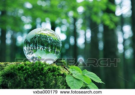 Glass globe View Large Photo Image Stock Photo - Glass globe. Fotosearch