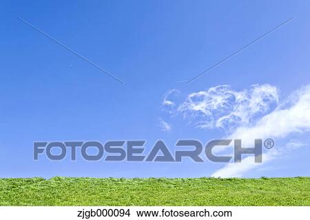 Picture - Grassland and blue sky with clouds. Fotosearch