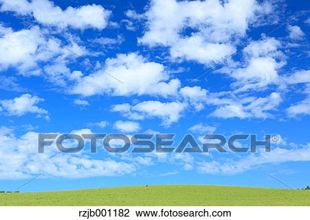 Grassland and blue sky with clouds View Large Photo Image Stock Image - Grassland and blue sky with clouds. Fotosearch