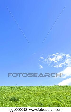 Grassland and blue sky with clouds View Large Photo Image Stock Photo - Grassland and blue sky with clouds. Fotosearch