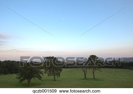 Grassland at dusk, Tochigi Prefecture View Large Photo Image Stock Photo - Grassland at dusk, Tochigi Prefecture. Fotosearch