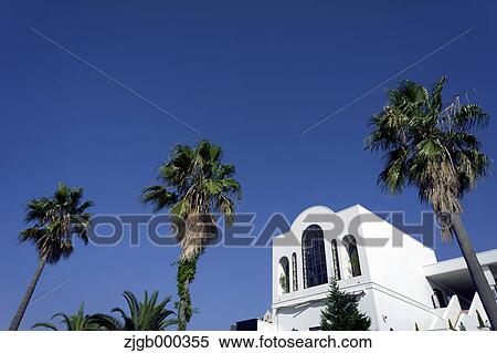 House and palm trees View Large Photo Image Stock Photography - House and palm trees. Fotosearch