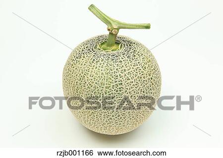 Melon View Large Photo Image Stock Photograph - Melon. Fotosearch