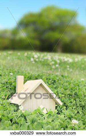 Miniature house on grassland View Large Photo Image Stock Photo - Miniature house on grassland. Fotosearch