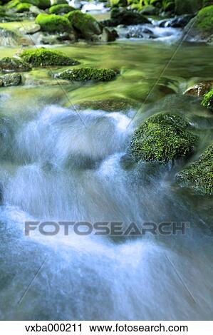 Stock Image - Mountain stream. Fotosearch