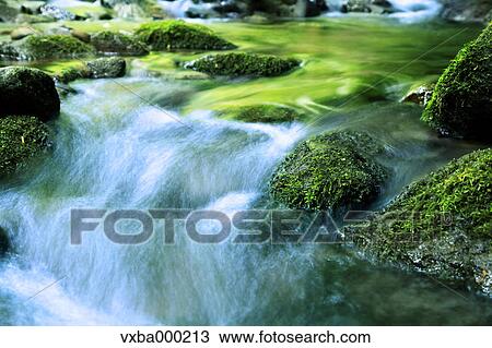 Mountain stream View Large Photo Image Stock Image - Mountain stream. Fotosearch