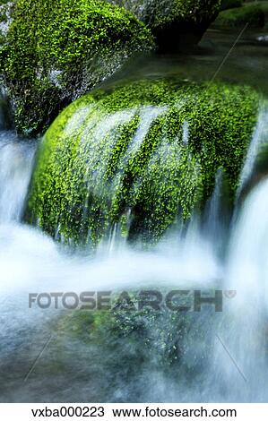 Mountain stream View Large Photo Image Stock Image - Mountain stream. Fotosearch