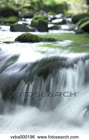 Stock Photograph - Mountain stream. Fotosearch