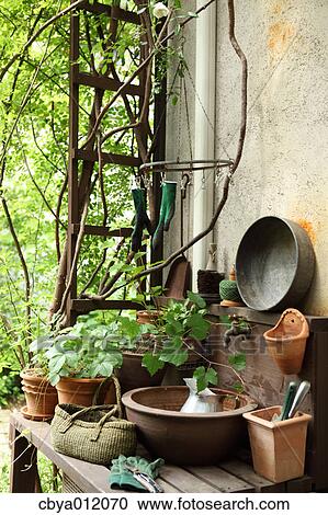 Stock Image - Plants and gardening tools. Fotosearch