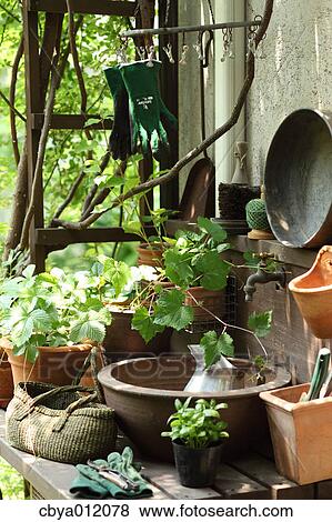 Plants and gardening tools View Large Photo Image Stock Photo - Plants and gardening tools. Fotosearch