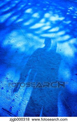 Stock Photo - Shadows of trees and people on the ground. Fotosearch