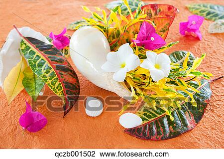 Shellfish and flowers View Large Photo Image Stock Image - Shellfish and flowers. Fotosearch
