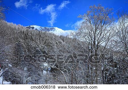 Snow in Shinanomachi, Nagano Prefecture View Large Photo Image Stock Photo - Snow in Shinanomachi, Nagano Prefecture. Fotosearch