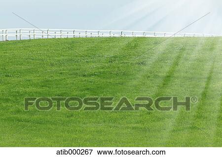 Sunlight and grassland View Large Photo Image Stock Photo - Sunlight and grassland. Fotosearch