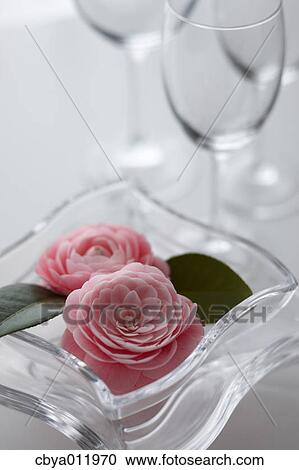 Table setting View Large Photo Image Stock Image - Table setting. Fotosearch