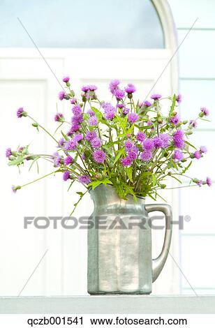 Thistle flowers in a vase View Large Photo Image Stock Image - Thistle flowers in a vase. Fotosearch