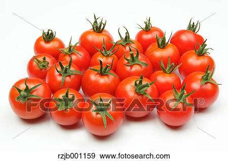 Tomatoes View Large Photo Image Stock Photo - Tomatoes. Fotosearch